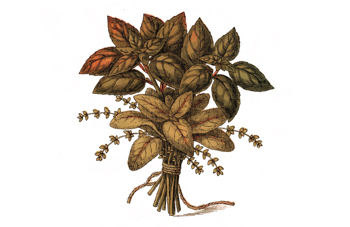 Spring Herb Frittata illustration